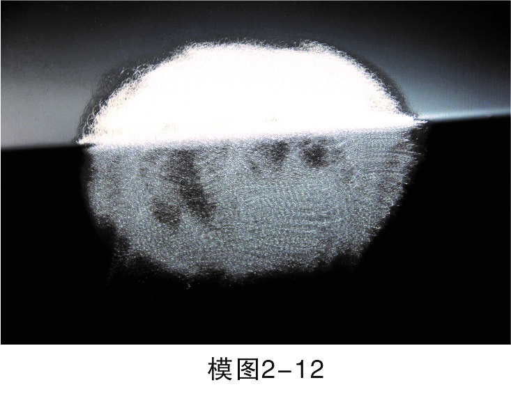 1450940942124103.jpg 5.jpg